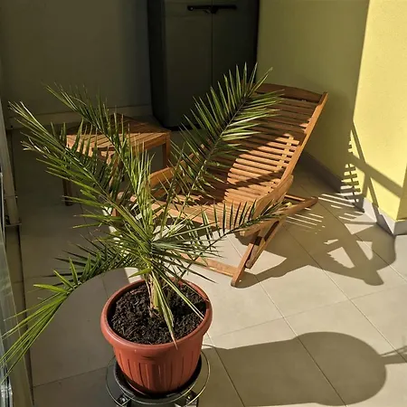 Izzy&simple アパート